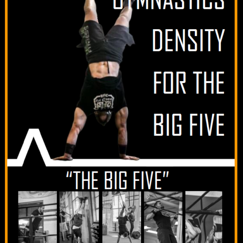 Gymnastics Density for the Big Five (Program)