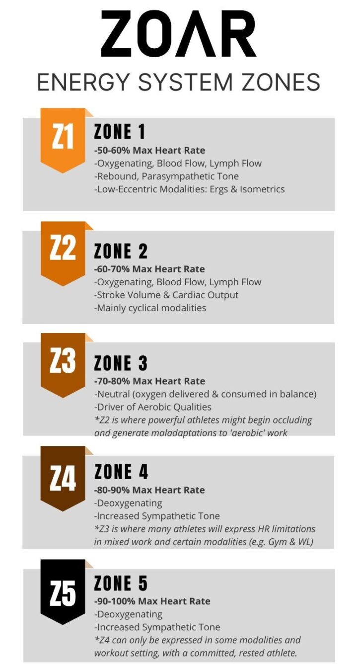 Energy System Training Zones: Our Conditioning Classification